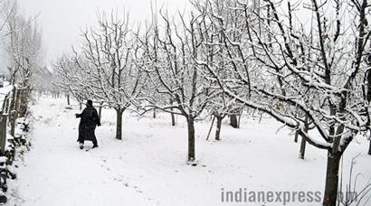 Heavy snowfall in Kashmir throws life out of gear